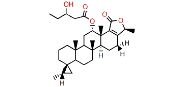 Honulactone E